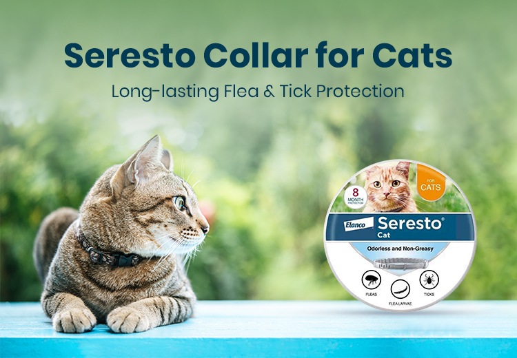seresto-collar-for-cats-long-lasting-flea-and-tick-protection